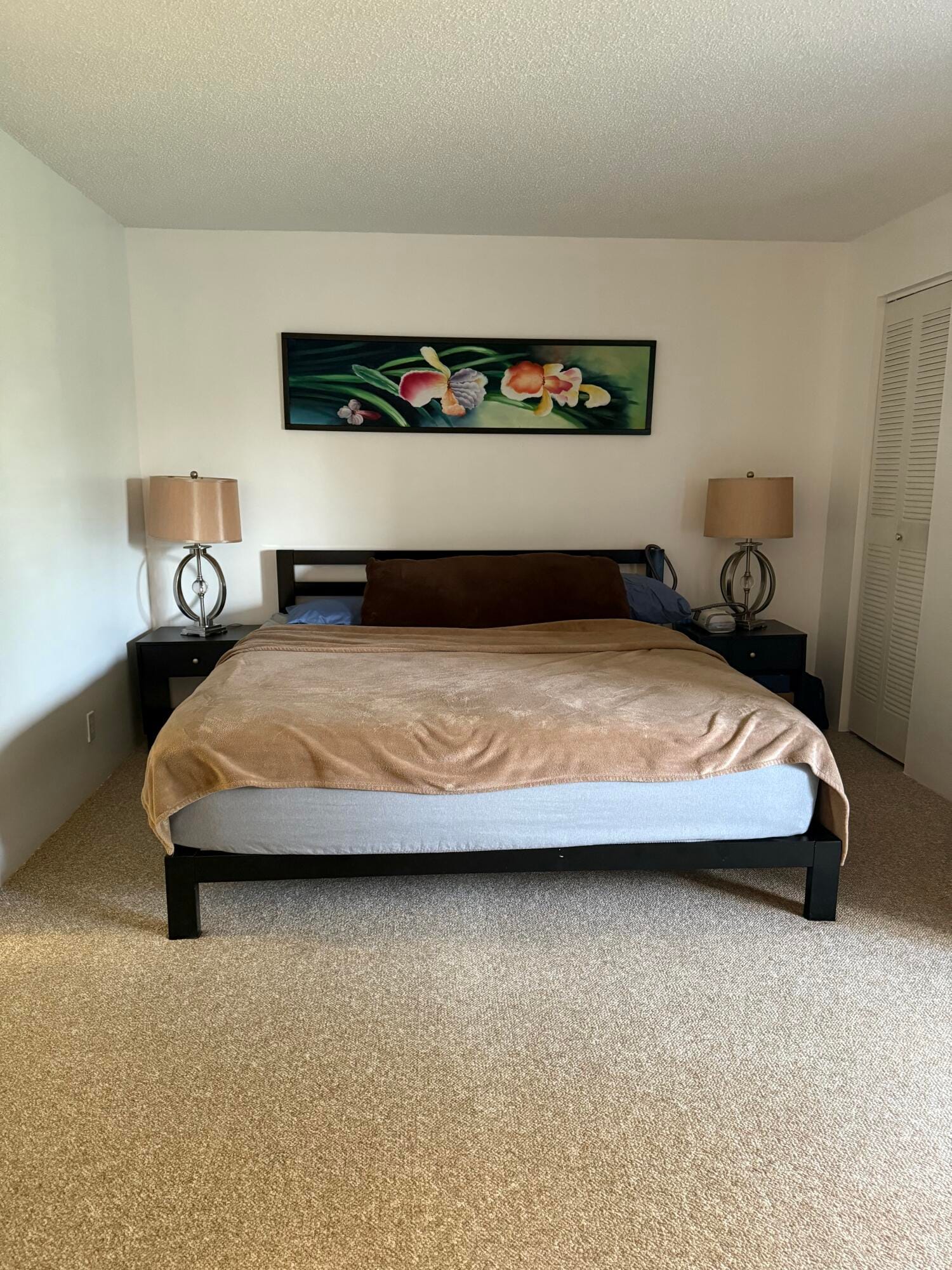 3400 Springdale Boulevard 3a — photo 4