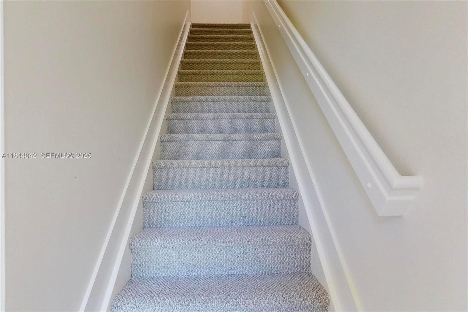 3906 Monarch Lane — photo 6