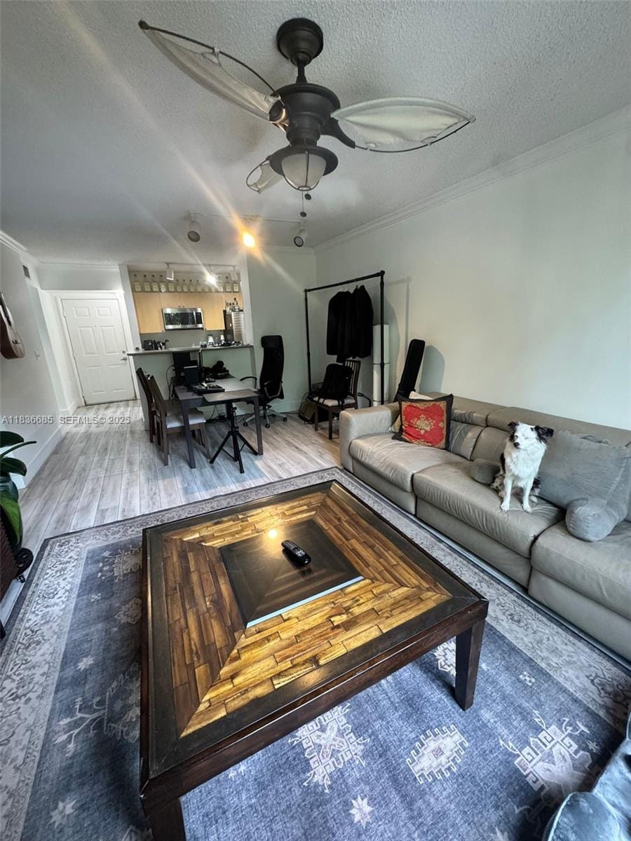 1919 Van Buren Street 313A, Hollywood, FL 33020 photo 13