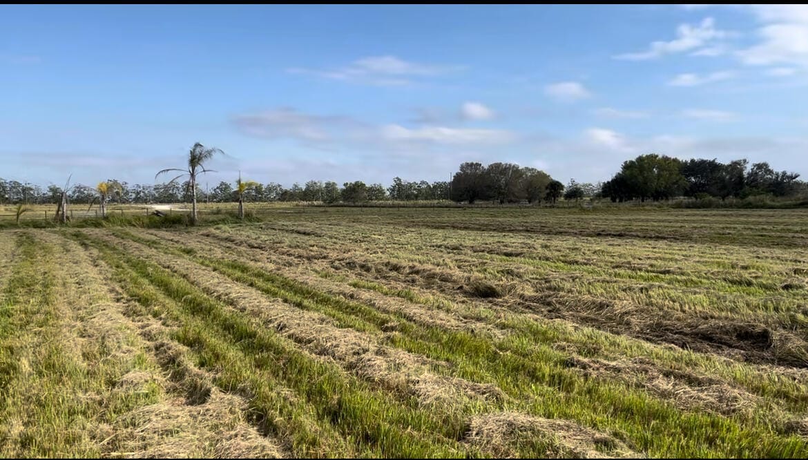 1503 S Header Canal Road — photo 3