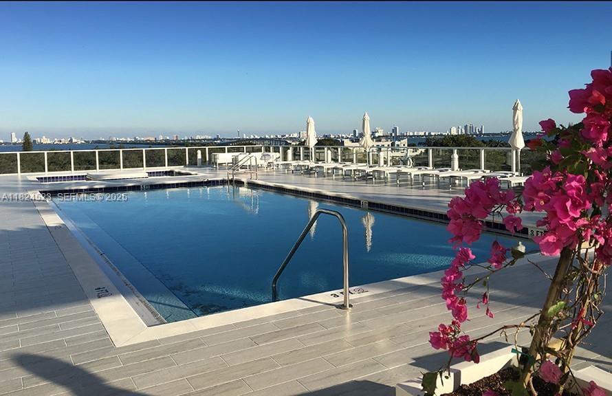 4250 Biscayne Boulevard 1217, Miami, FL 33137 photo 25