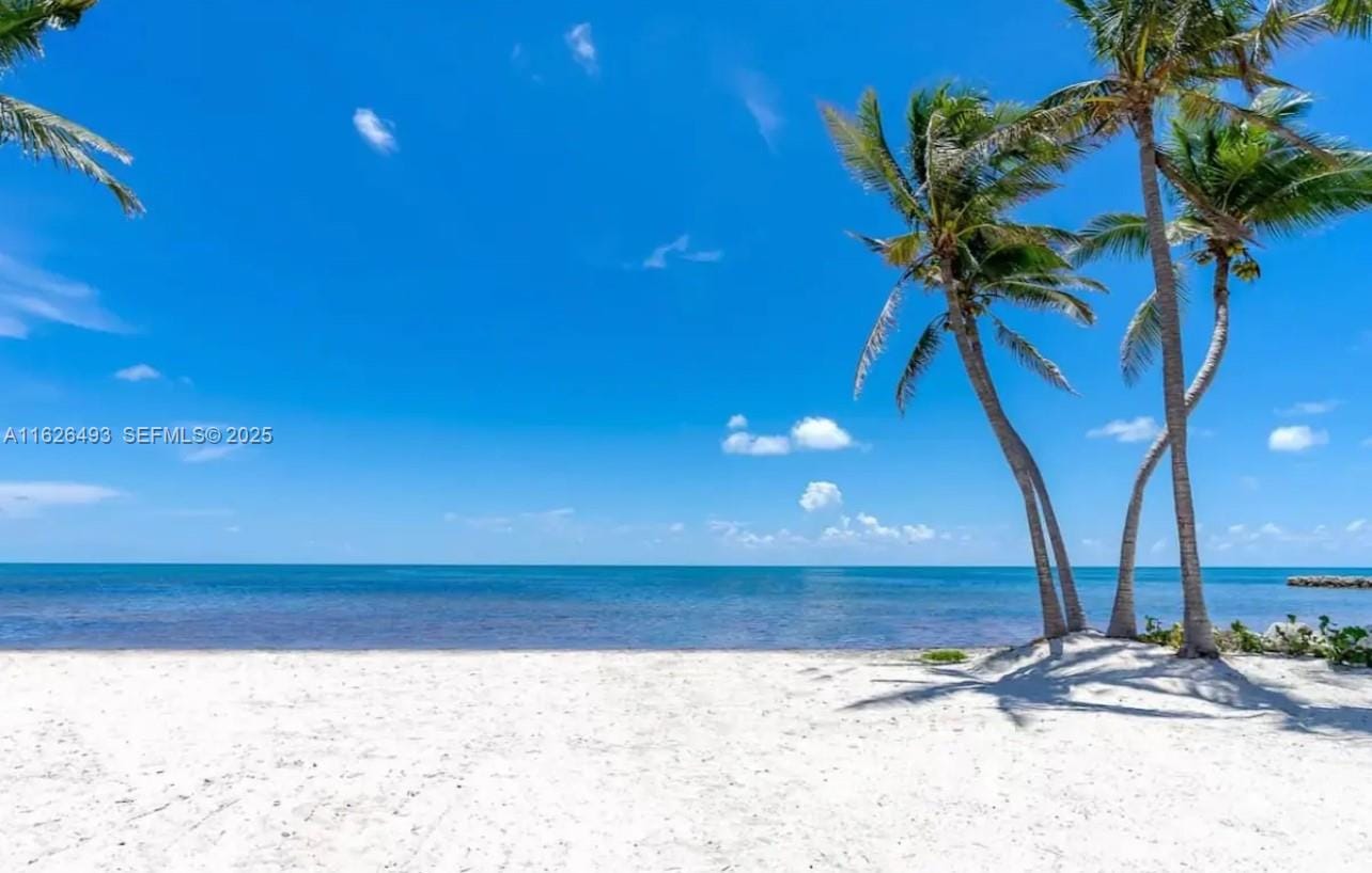 75761 Overseas Highway, Islamorada, FL 33036 photo 20
