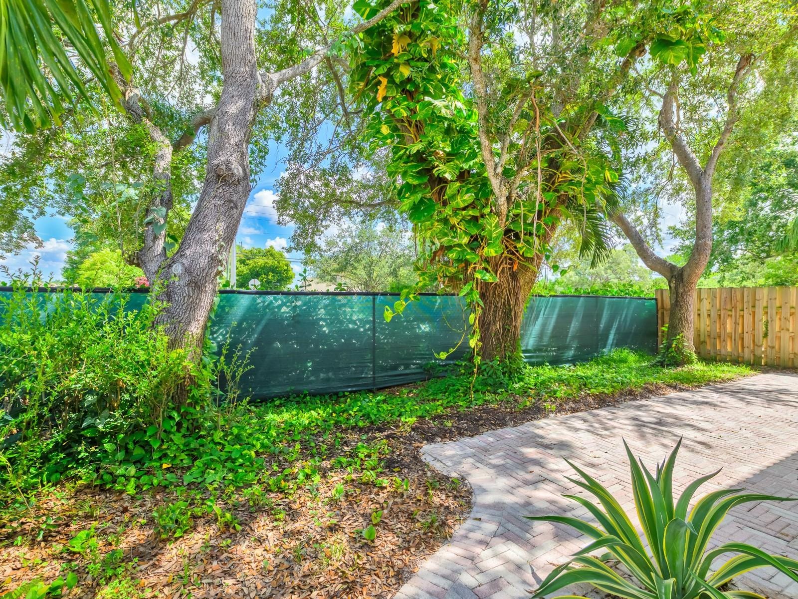 15037 SW 50th Court, Davie, FL 33331 photo 29