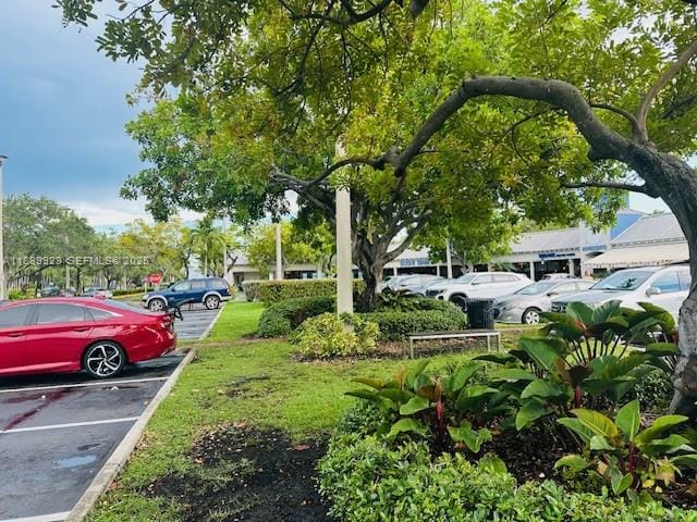 650 Crandon Boulevard 16, Key Biscayne, FL 33149 photo 11