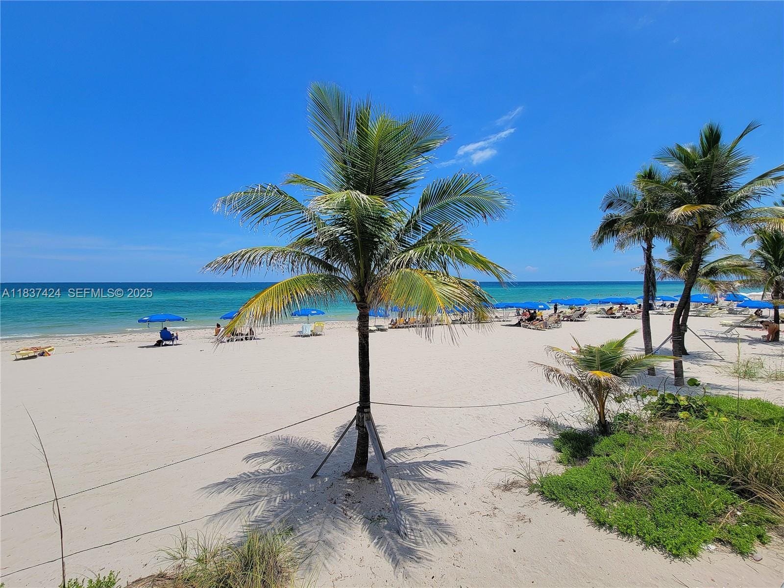 2030 S Ocean Drive 502, Hallandale Beach, FL 33009 photo 24
