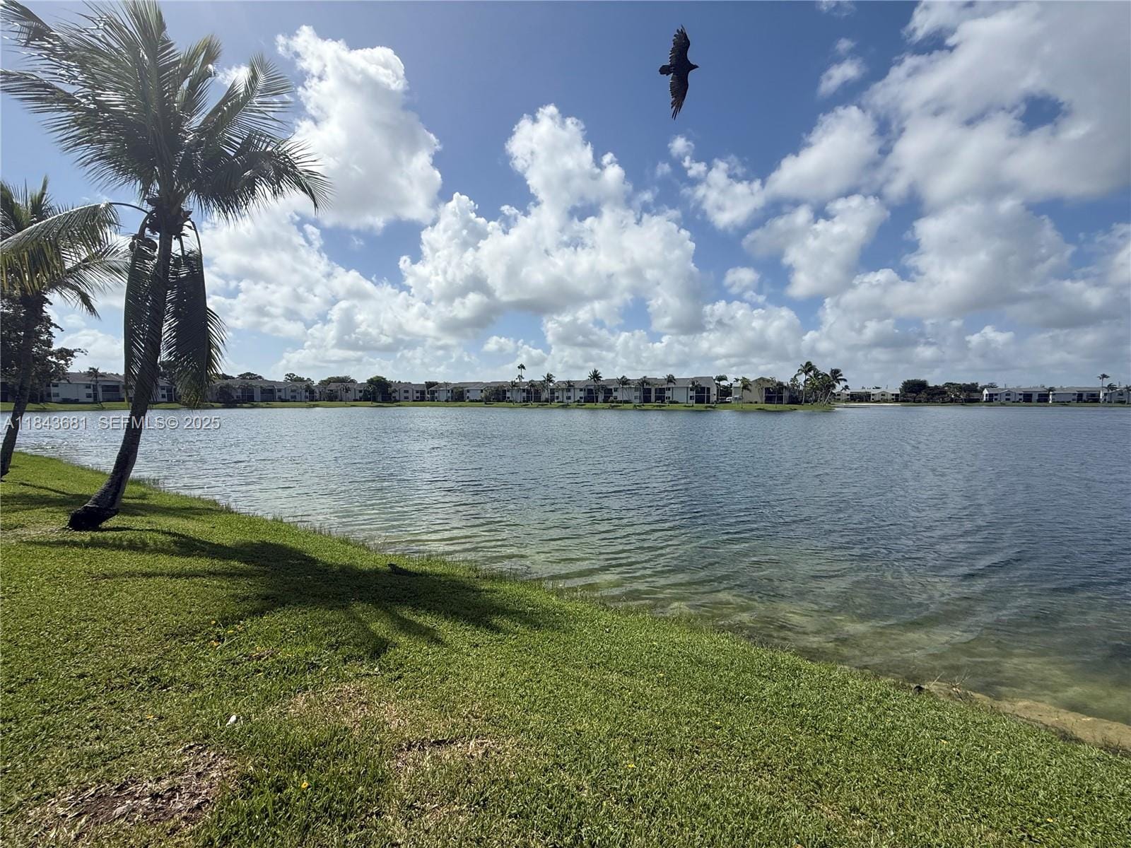 1024 S Independence Drive 1024C — photo 4