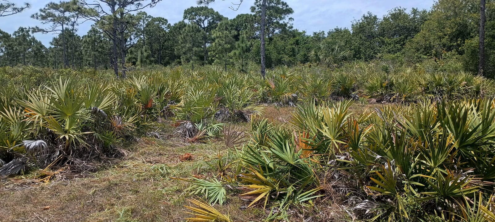 000 None, Grant Valkaria, FL 32950 photo 2