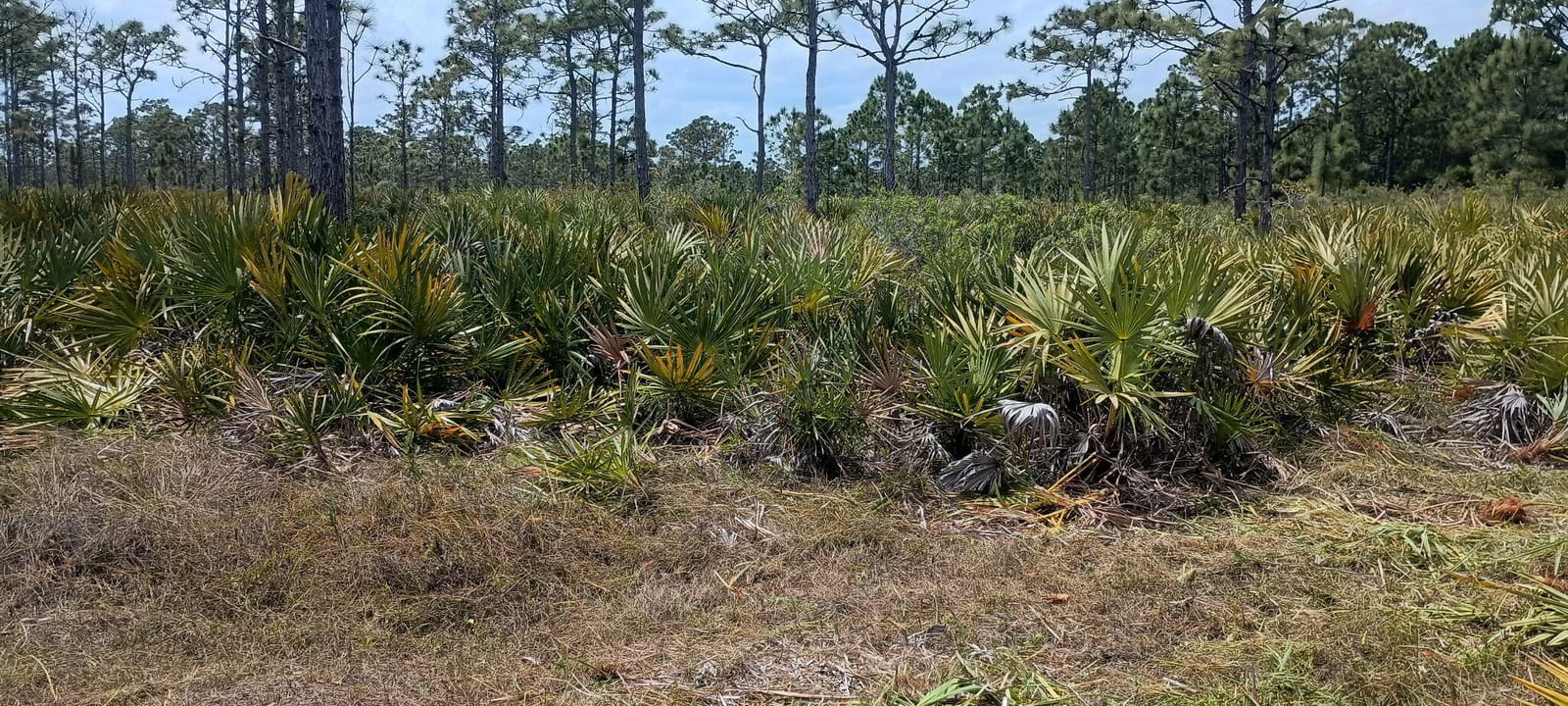 000 None, Grant Valkaria, FL 32950 photo 3