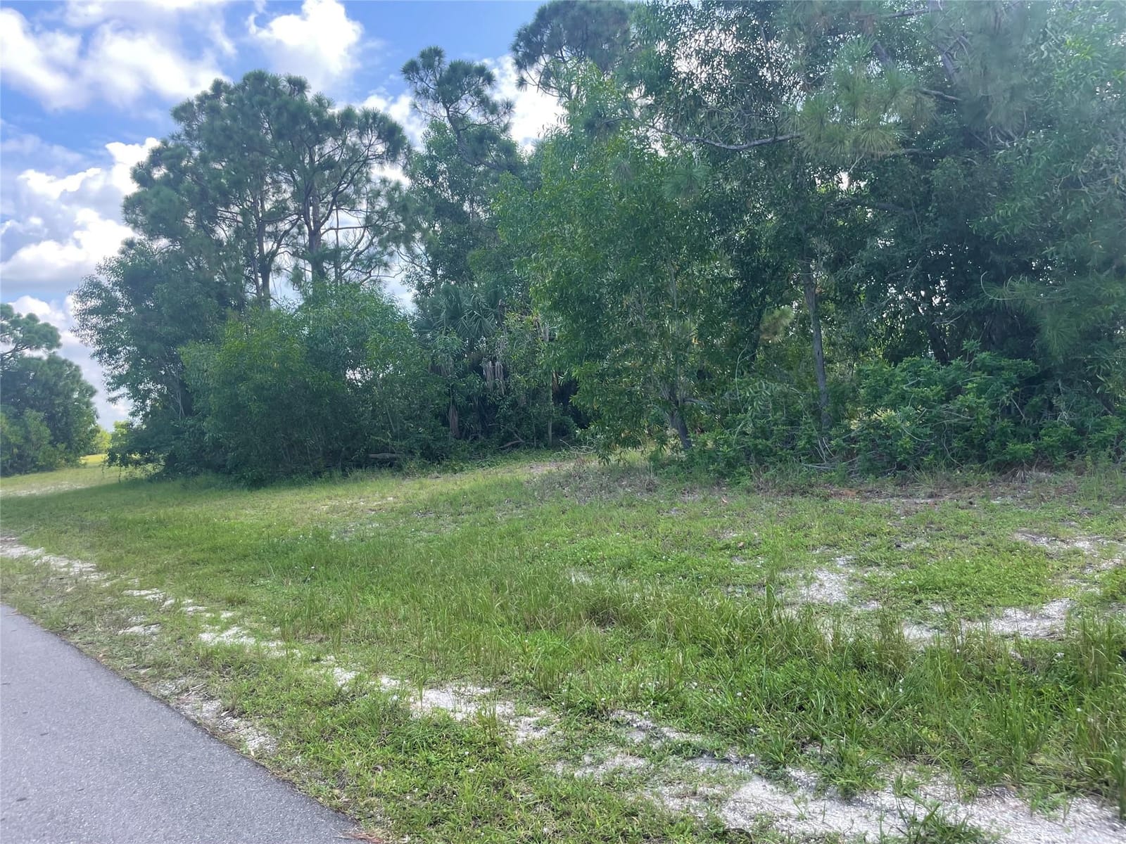 4513 NW 34th Place, Cape Coral, FL 33993 photo 13