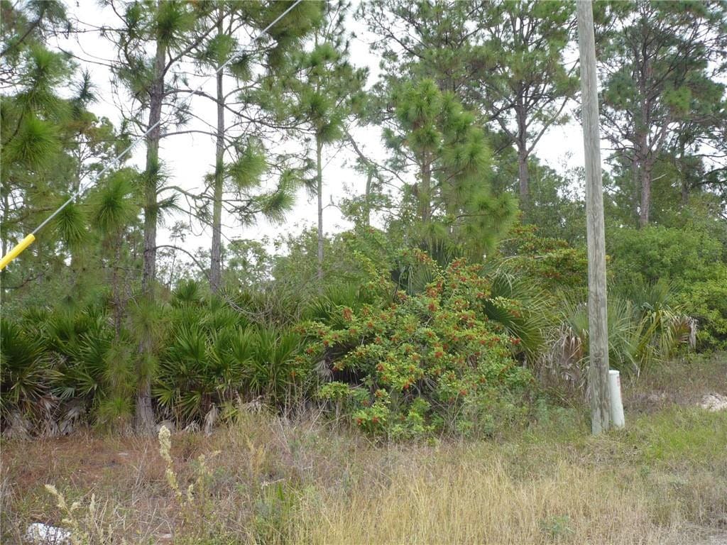 320 G Road, FL 33935 photo 3