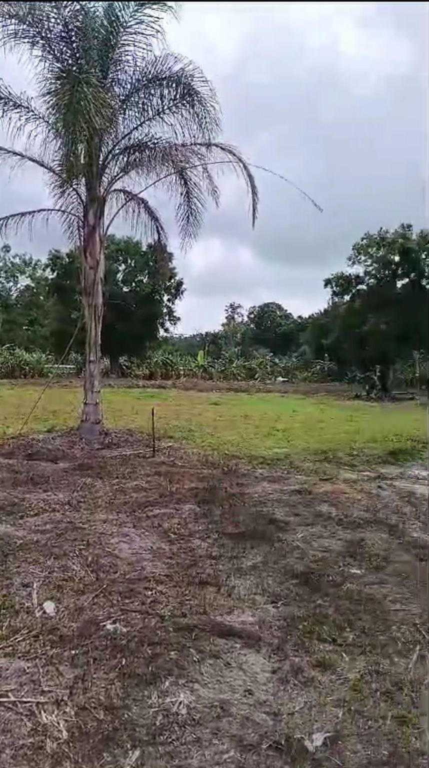955 NE 70th Avenue, Okeechobee, FL 34974 photo 2