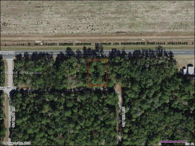 UNDETERMINED Orange Springs, FL, 