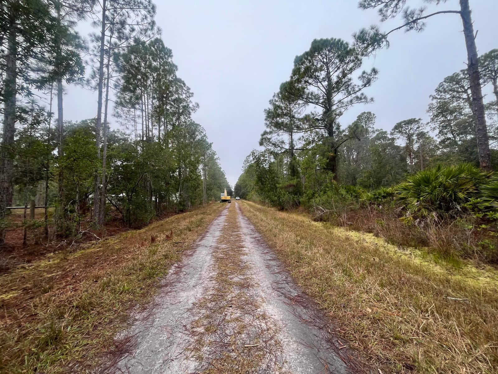 222 Marie Avenue, Georgetown, FL 32139 photo 13