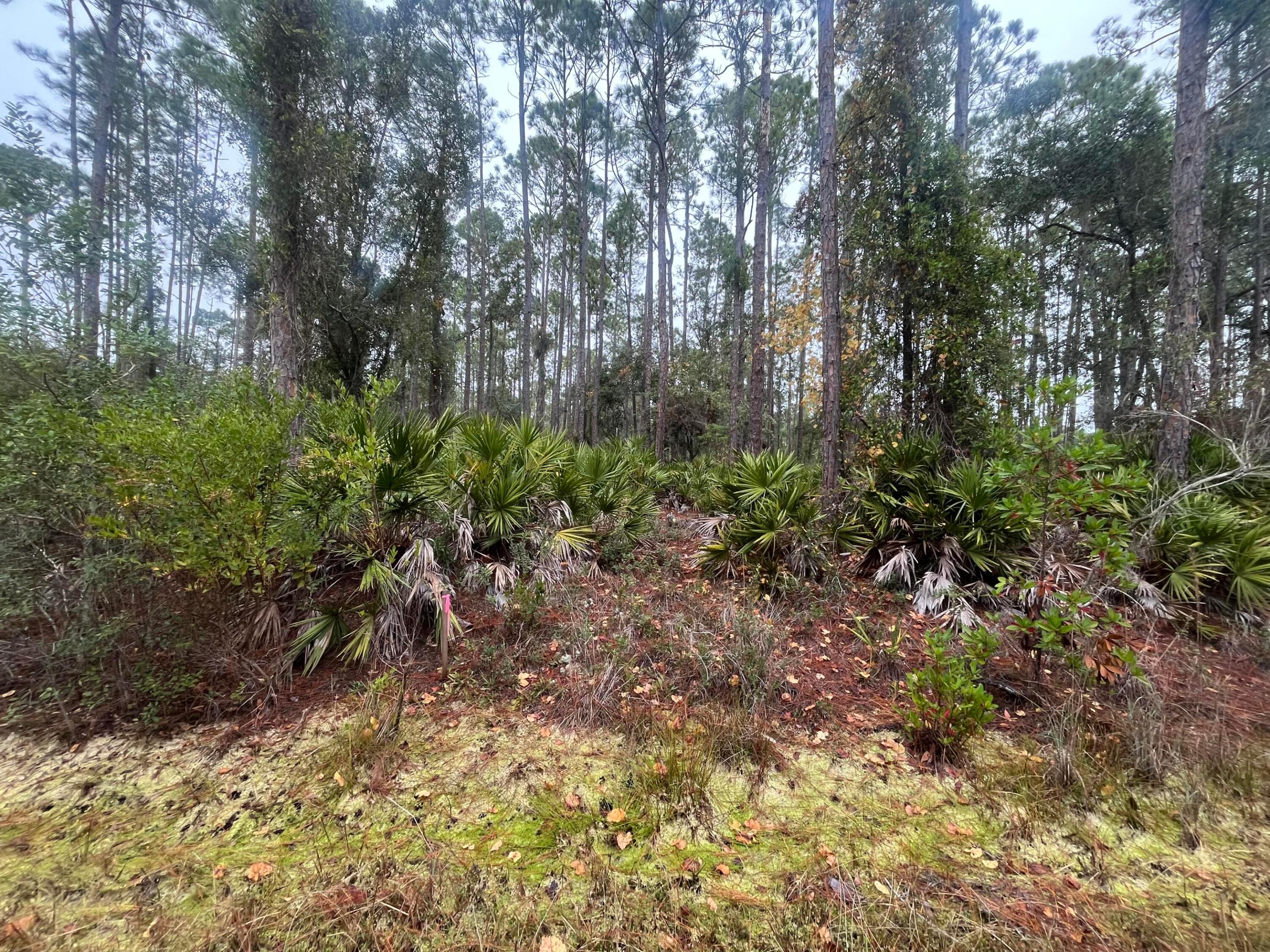 222 Marie Avenue, Georgetown, FL 32139, Georgetown