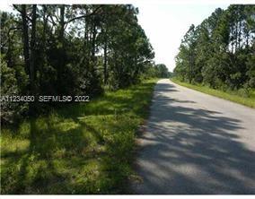 4420 Fettuccine Avenue, Sebring, FL 33872, Sebring