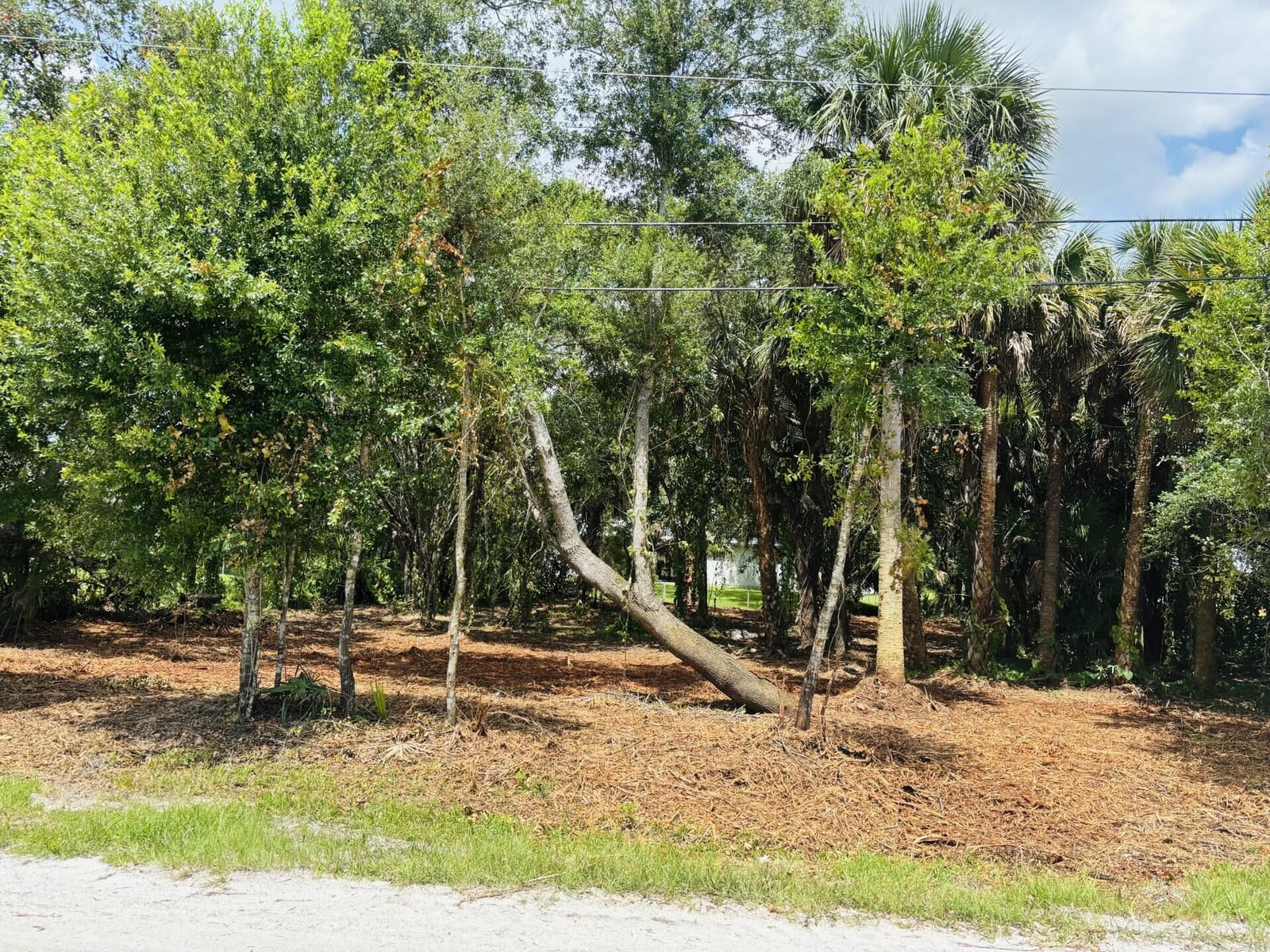8825 93rd Avenue, Vero Beach, FL 32967