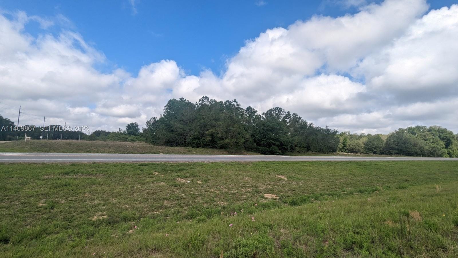 51 E Citrus Springs Boulevard — photo 4