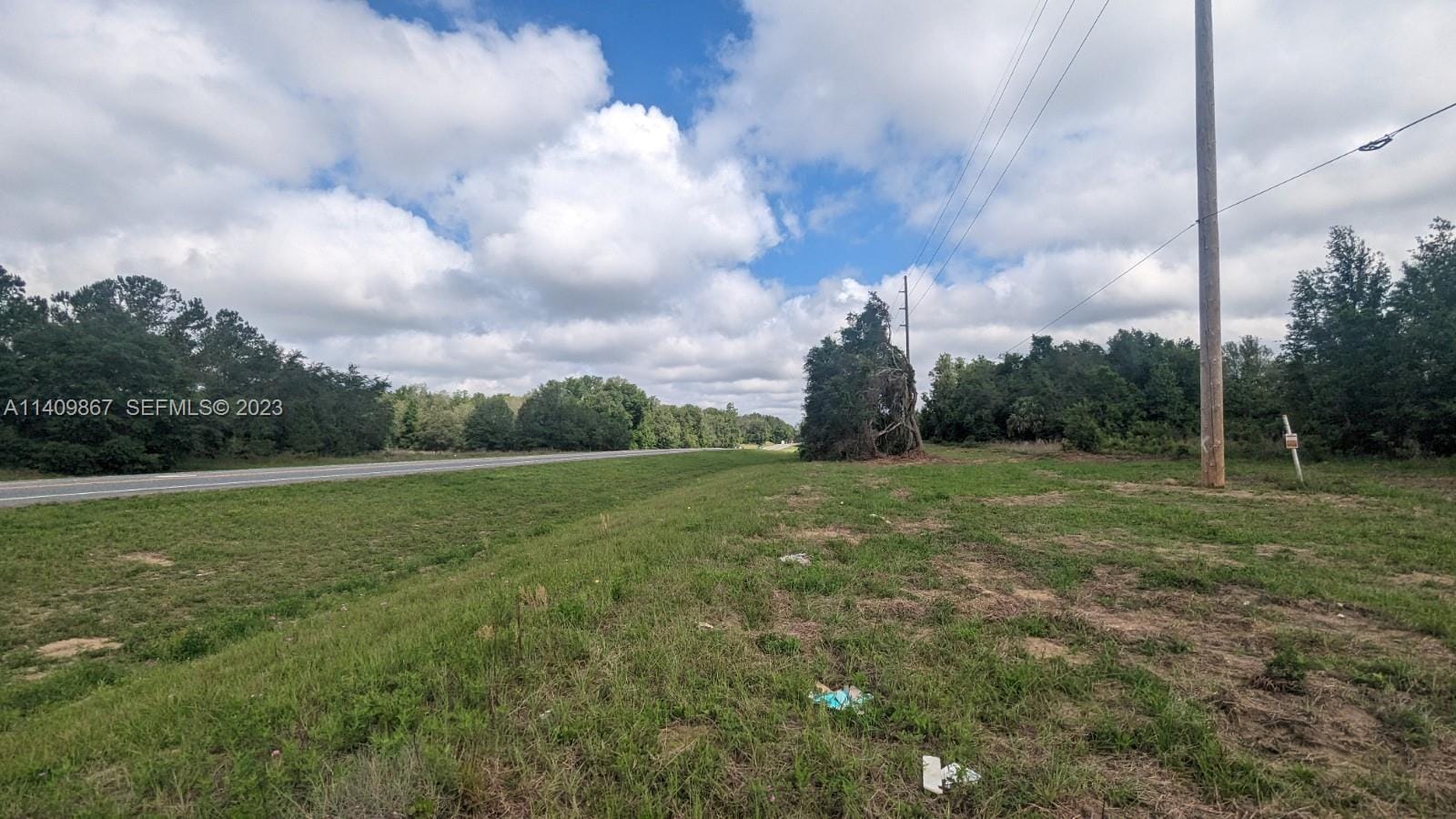 51 E Citrus Springs Boulevard — photo 5