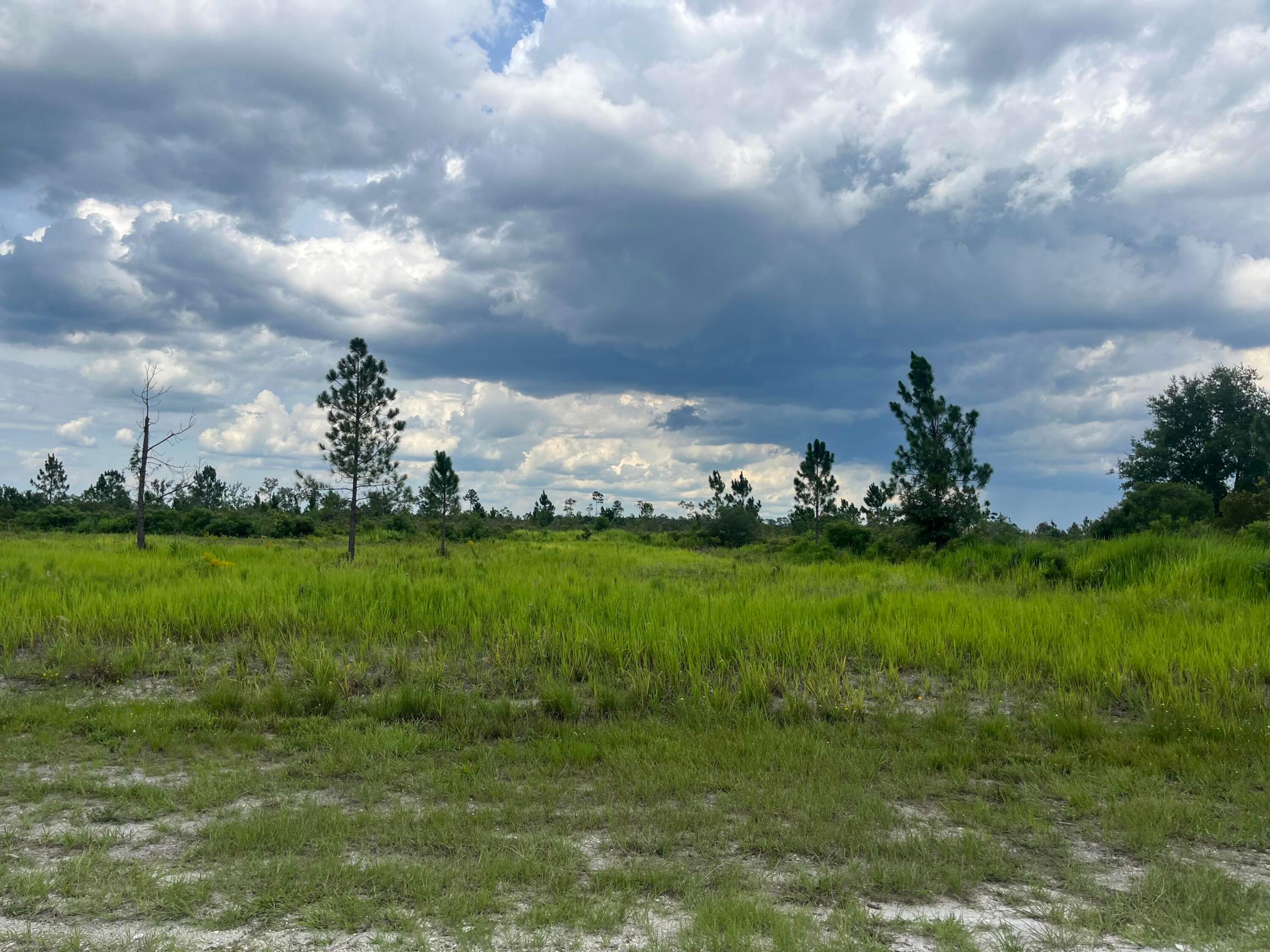 0 Pinnata Drive, Lake Wales, FL 33898, Lake Wales