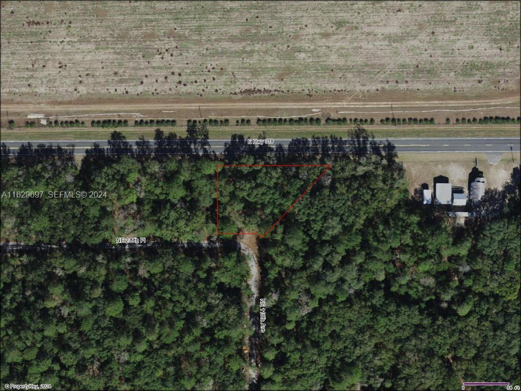 UNDETERMINED Orange Springs, FL, 