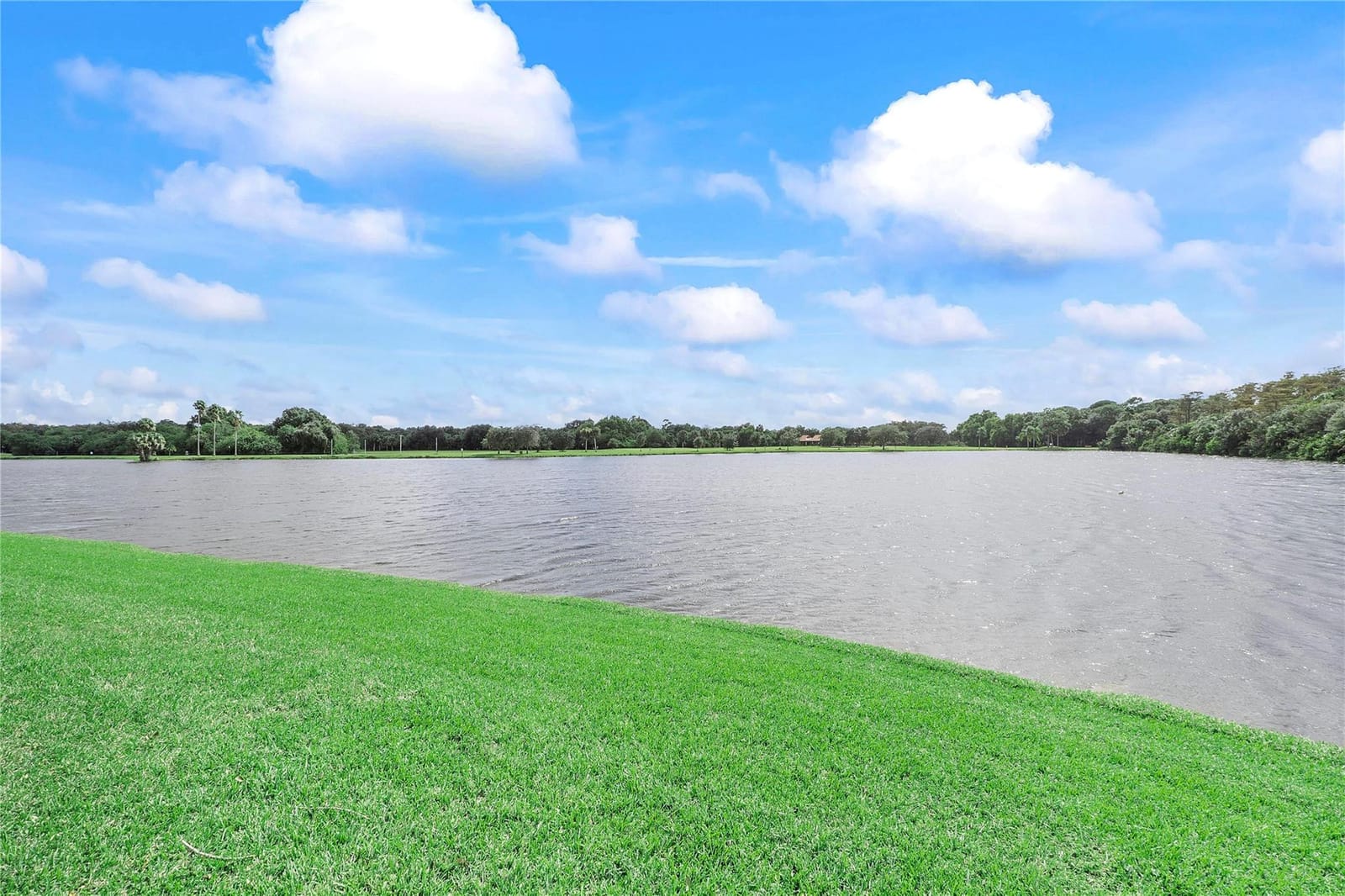 2768 S Carambola Circle 505, Coconut Creek, FL 33066 photo 3