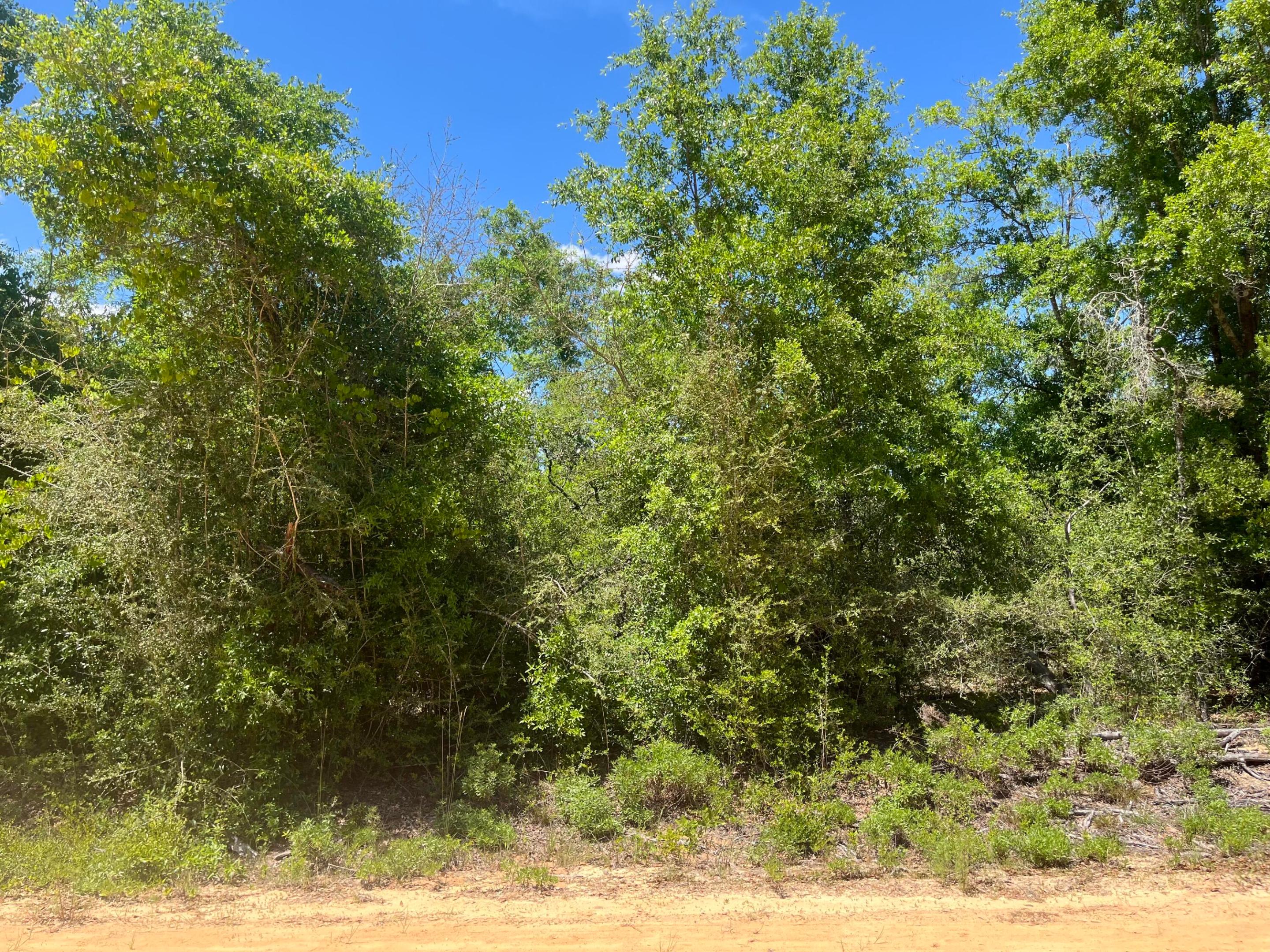 0 Hocking Street, Alford, FL 32420, Alford
