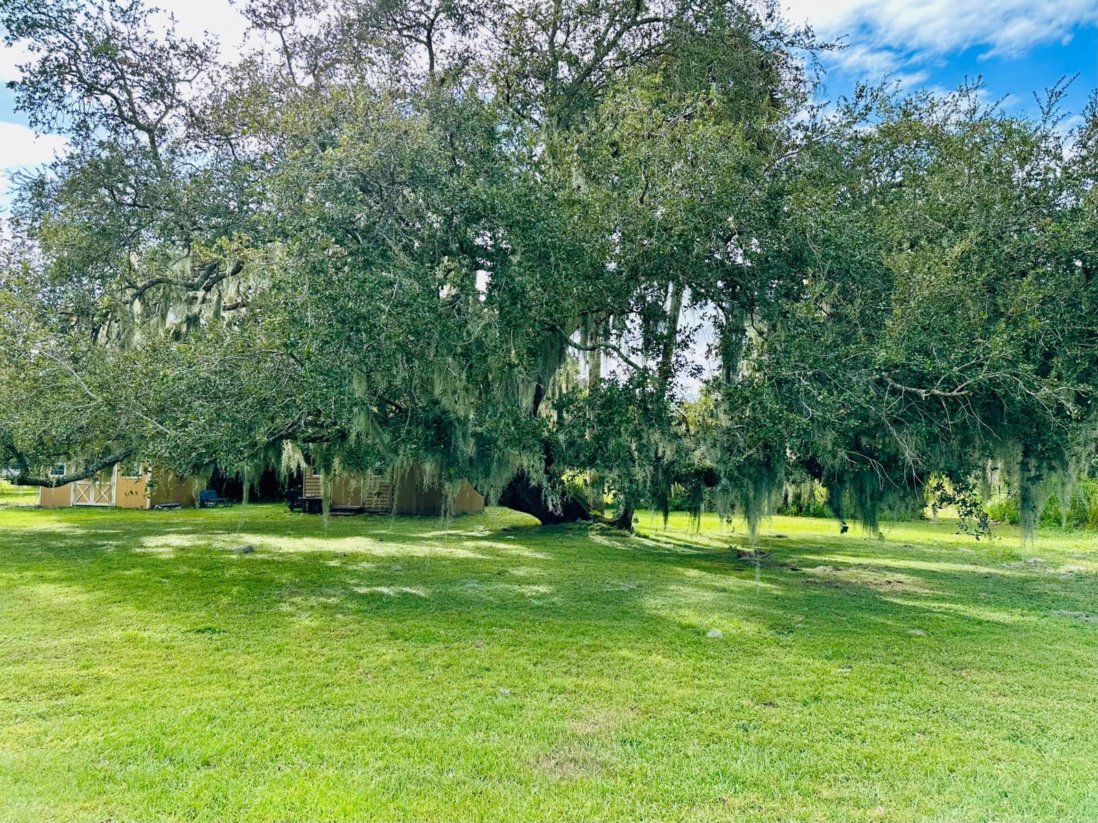 1104 SW 11th Street — photo 10