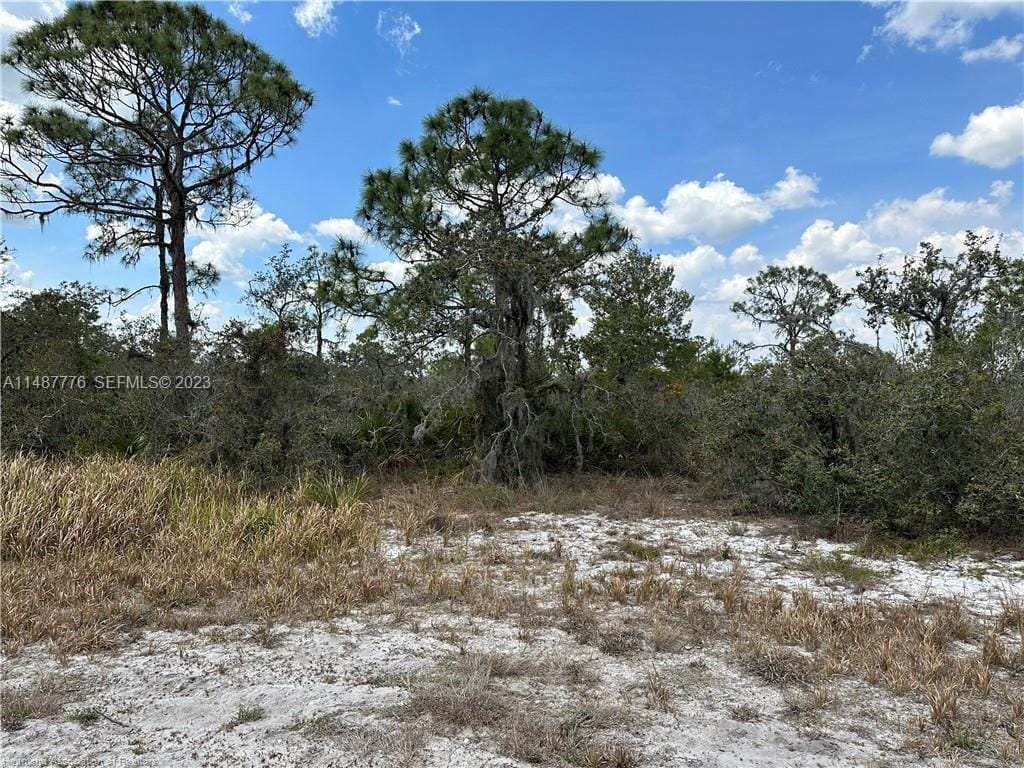 5128 Coruna Avenue, Sebring, FL 33872 photo 2