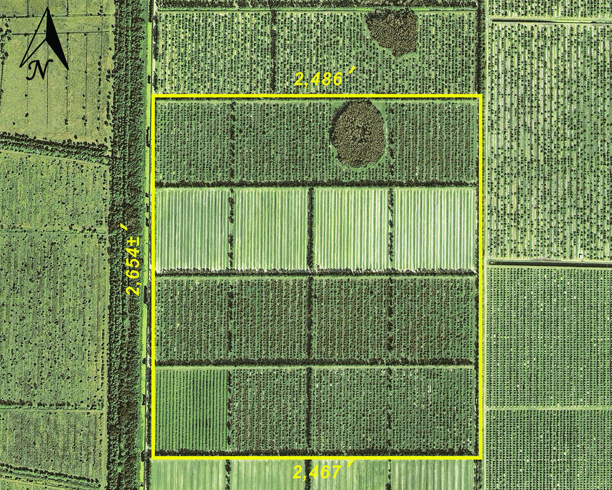 Tbd Orange Avenue Extension, Fort Pierce, FL 34945, Fort Pierce