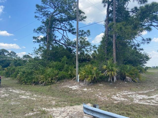 5029 SE Tradewinds Circle, LaBelle, FL 33935, Labelle