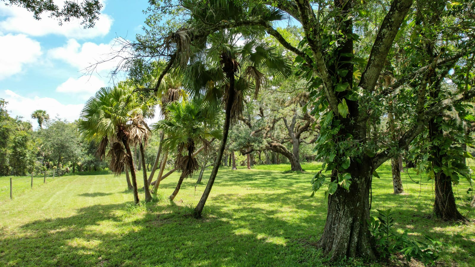 3605 Gordy Road, Fort Pierce, FL 34945 photo 14