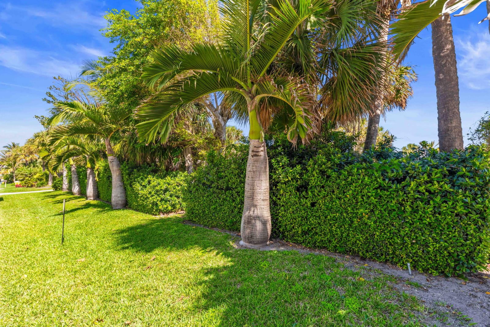 73 Colony Road, Jupiter Inlet Colony, FL 33469 photo 7
