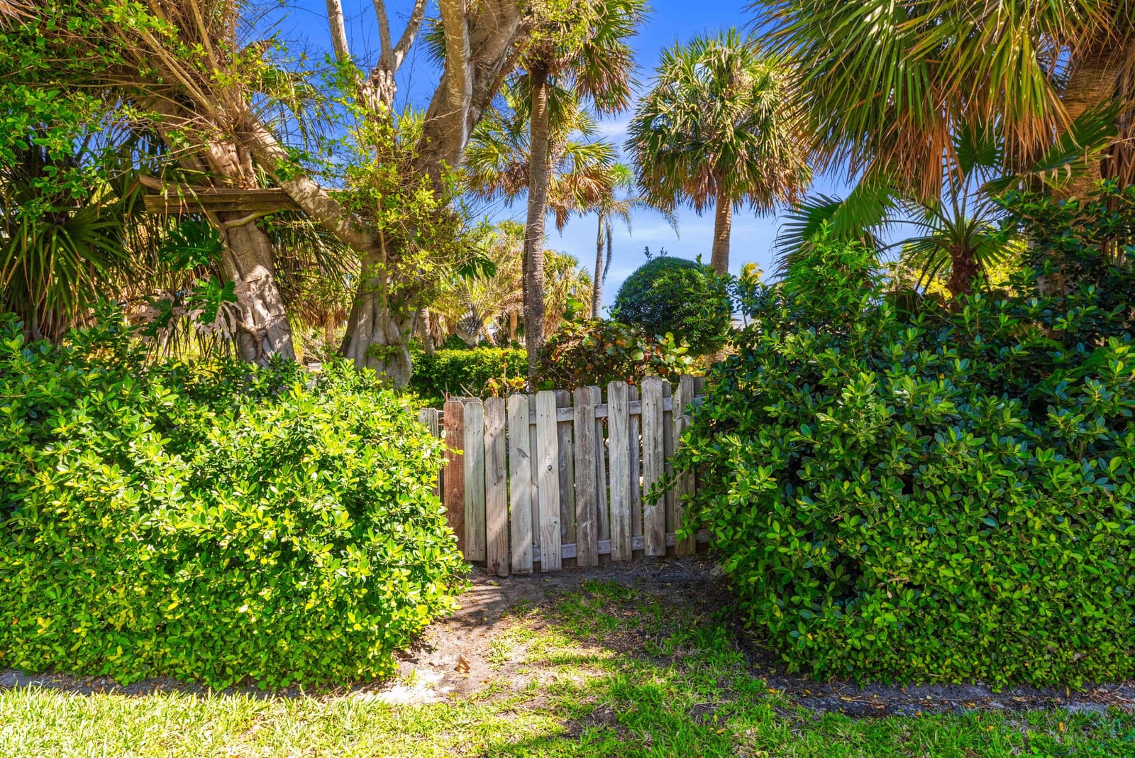 73 Colony Road, Jupiter Inlet Colony, FL 33469 photo 8