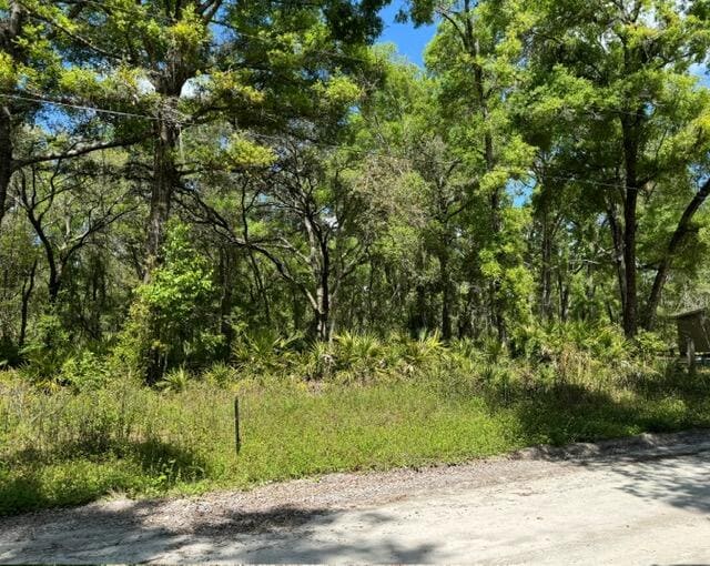 Tbd NE 472nd Avenue, Old Town, FL 32680