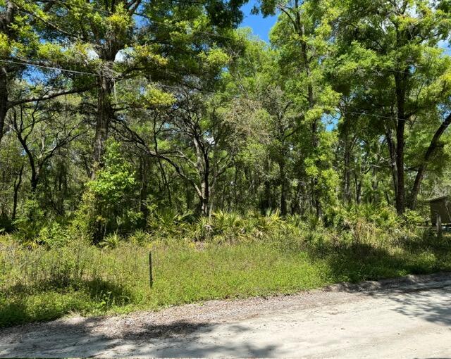 Tbd NE 472nd Avenue, Old Town, FL 32680, Old Town