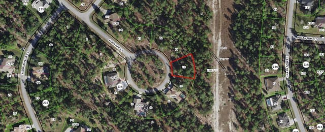 29 Ageratum Court, Homosassa, FL 34446