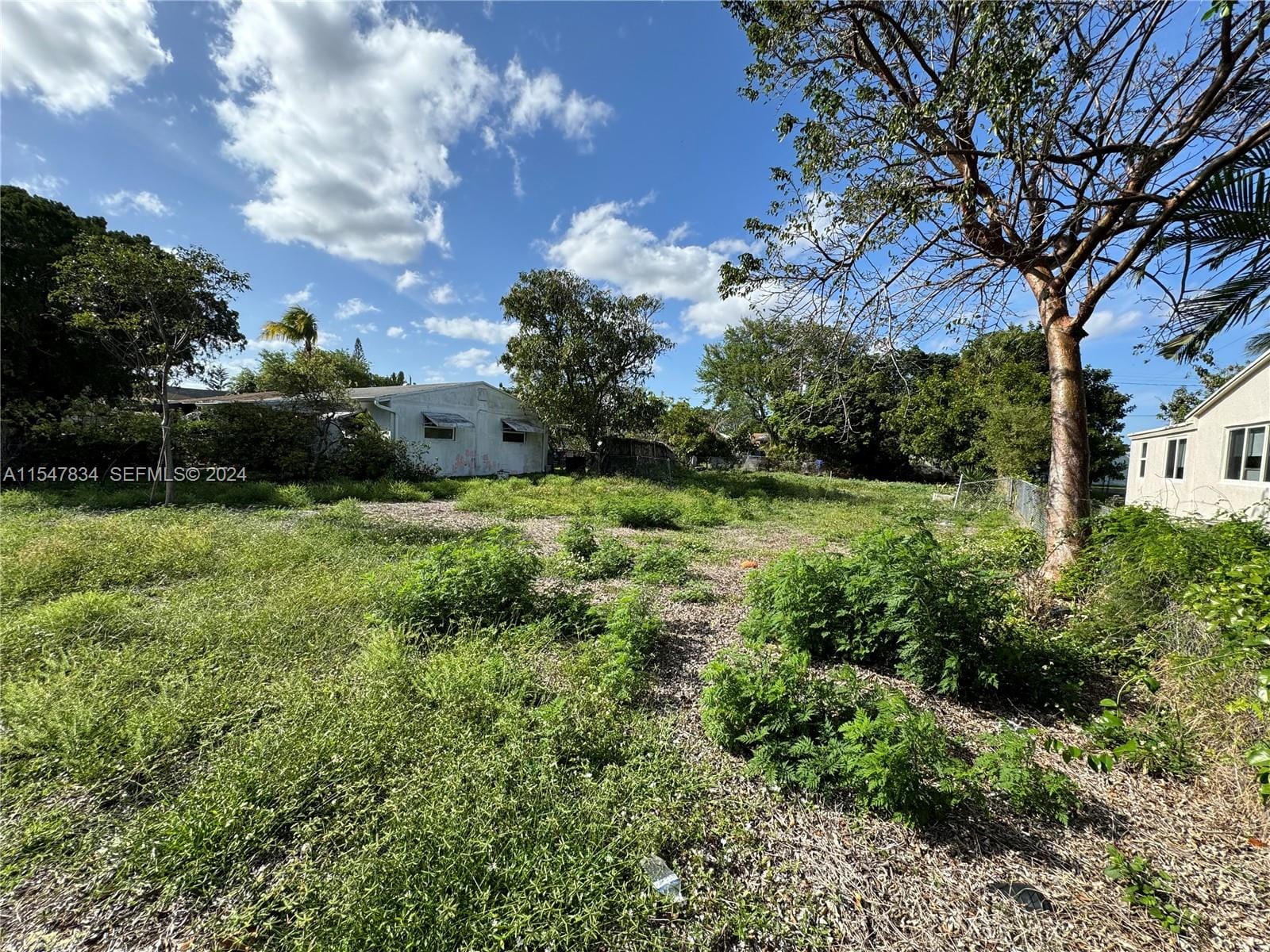 2205 Coolidge Street — photo 3