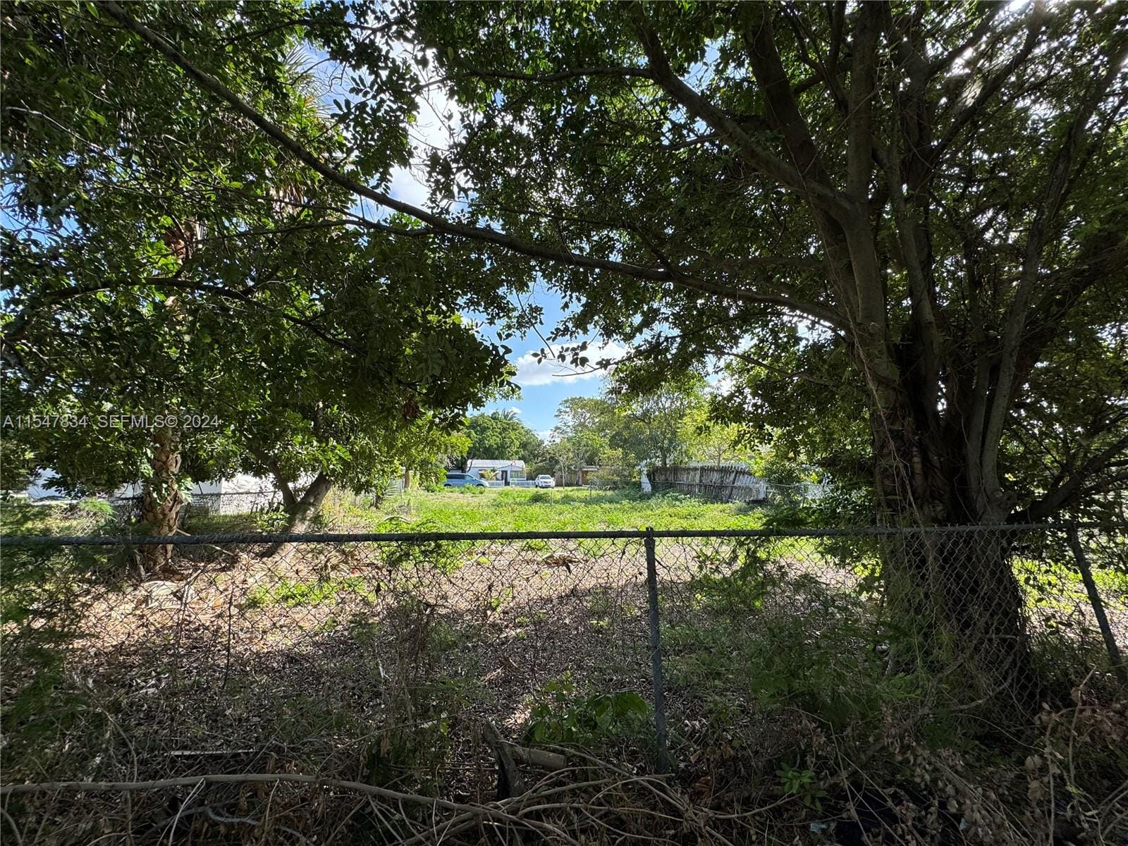 2205 Coolidge Street — photo 4
