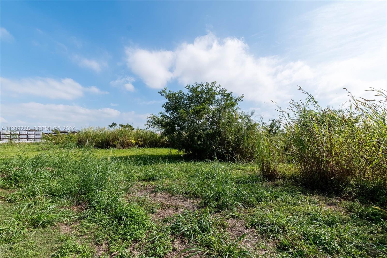 23801 SW 120 Avenue, Homestead, FL 33032 photo 13