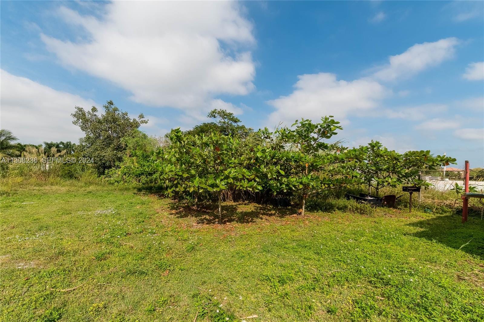 23801 SW 120 Avenue, Homestead, FL 33032 photo 17