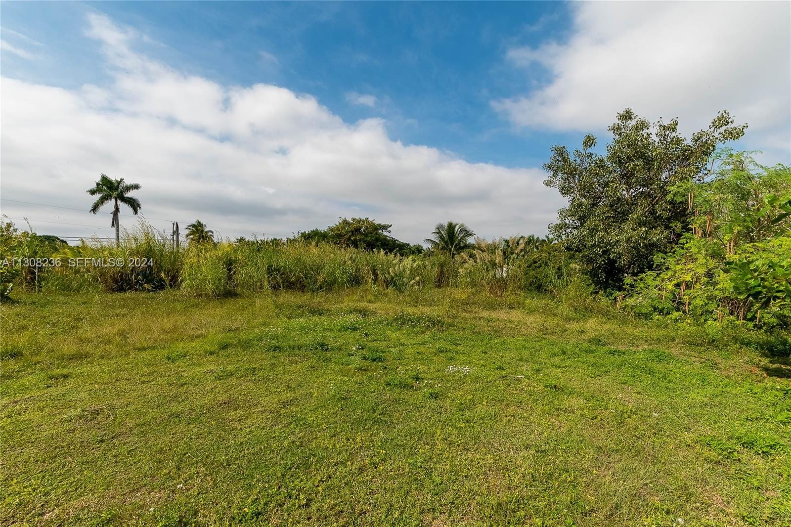 23801 SW 120 Avenue, Homestead, FL 33032 photo 18