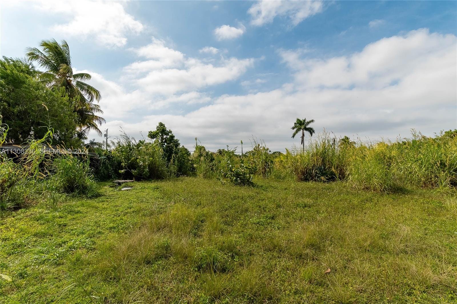 23801 SW 120 Avenue, Homestead, FL 33032 photo 19