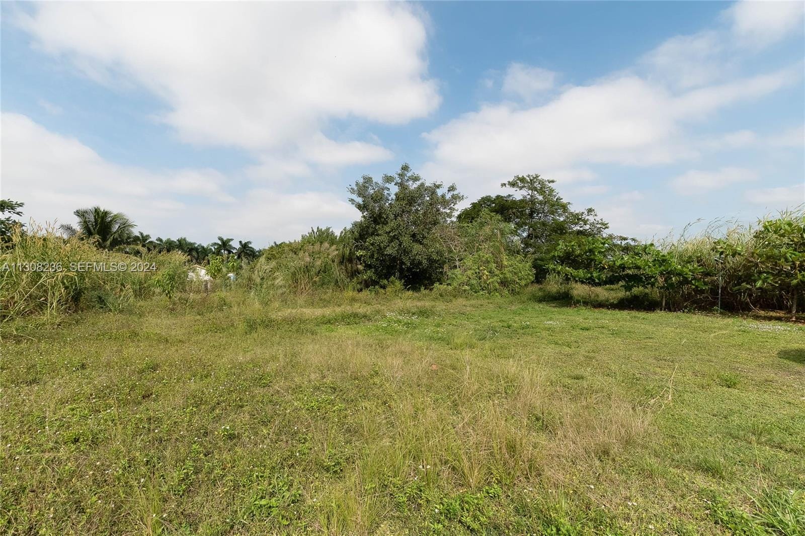 23801 SW 120 Avenue, Homestead, FL 33032 photo 23