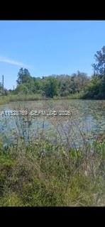0 Richardson Boulevard, Ridge Mnr Est Un, Webster, FL