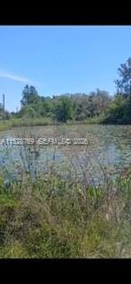 0 Richardson Boulevard, FL 33597