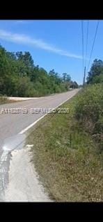 0 Richardson Boulevard, FL 33597 photo 4