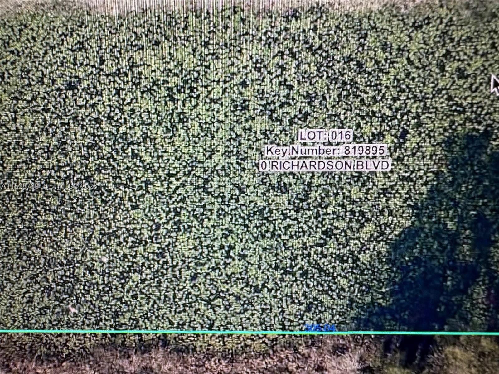 0 Richardson Boulevard, FL 33597 photo 7