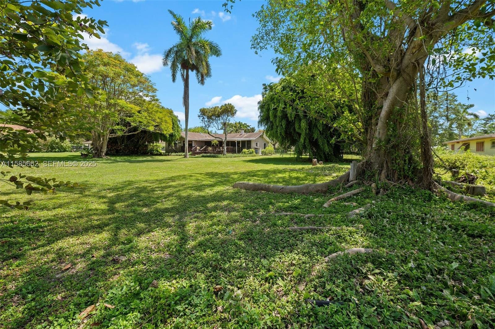 8205 SW 136th Street, Pinecrest, FL 33156 photo 10