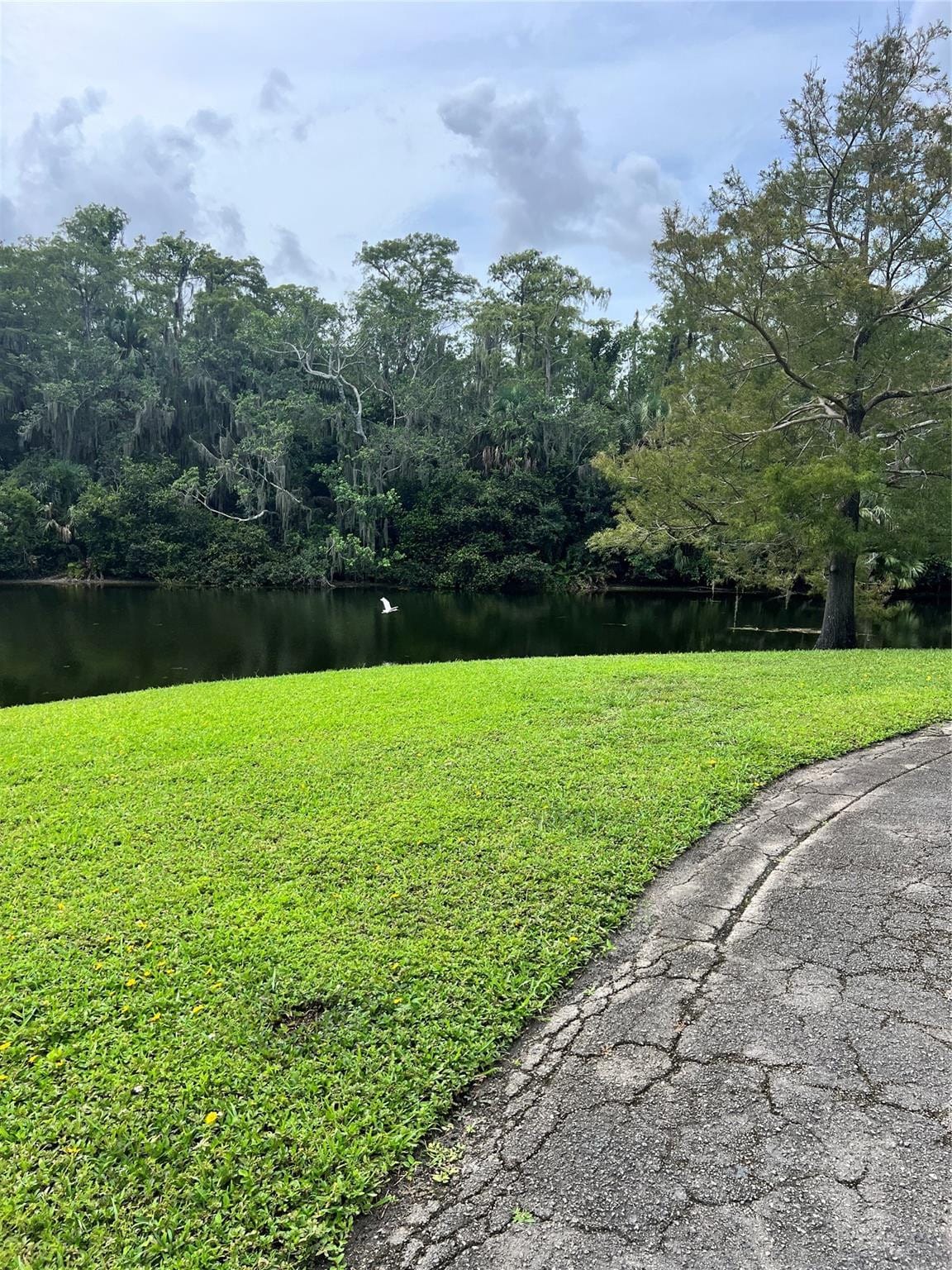 3000 NW 42nd Avenue B408, Coconut Creek, FL 33066 photo 18