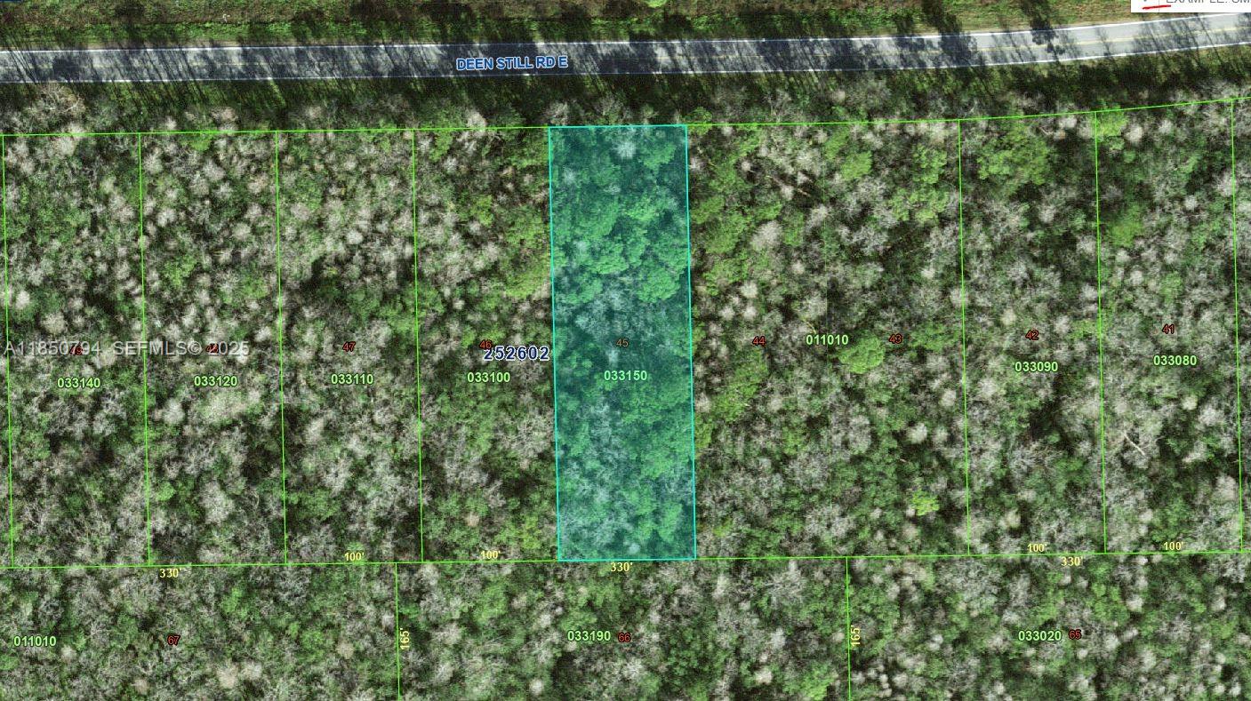 0 Deen Still Road E, FL 33868, Polk City